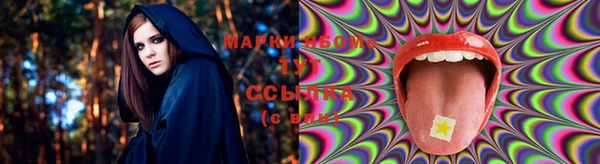 стафф Абинск