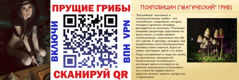 Псилоцибиновые грибы GOLDEN TEACHER купить наркотик Торжок