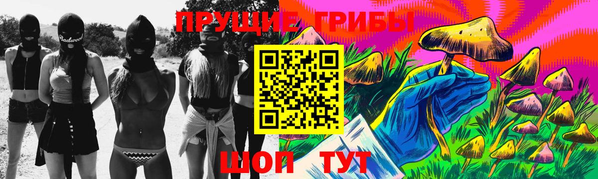 Псилоцибиновые грибы Cubensis Торжок