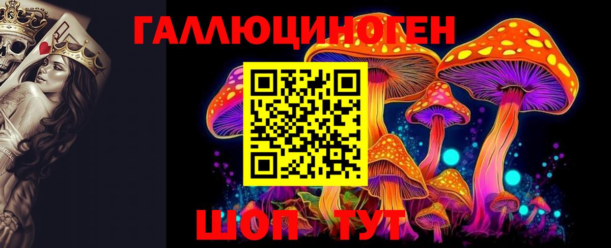 Торжок  Галлюциногенные грибы MAGIC MUSHROOMS  Псилоцибиновые грибы MAGIC MUSHROOMS  Вход с VPN 