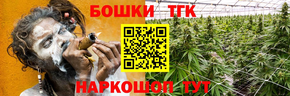 Бошки Шишки план Торжок